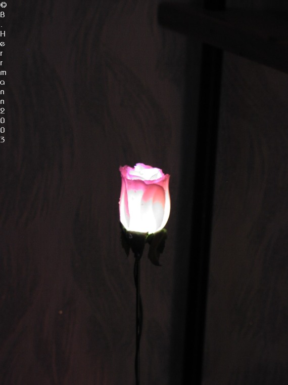 led_rose_1